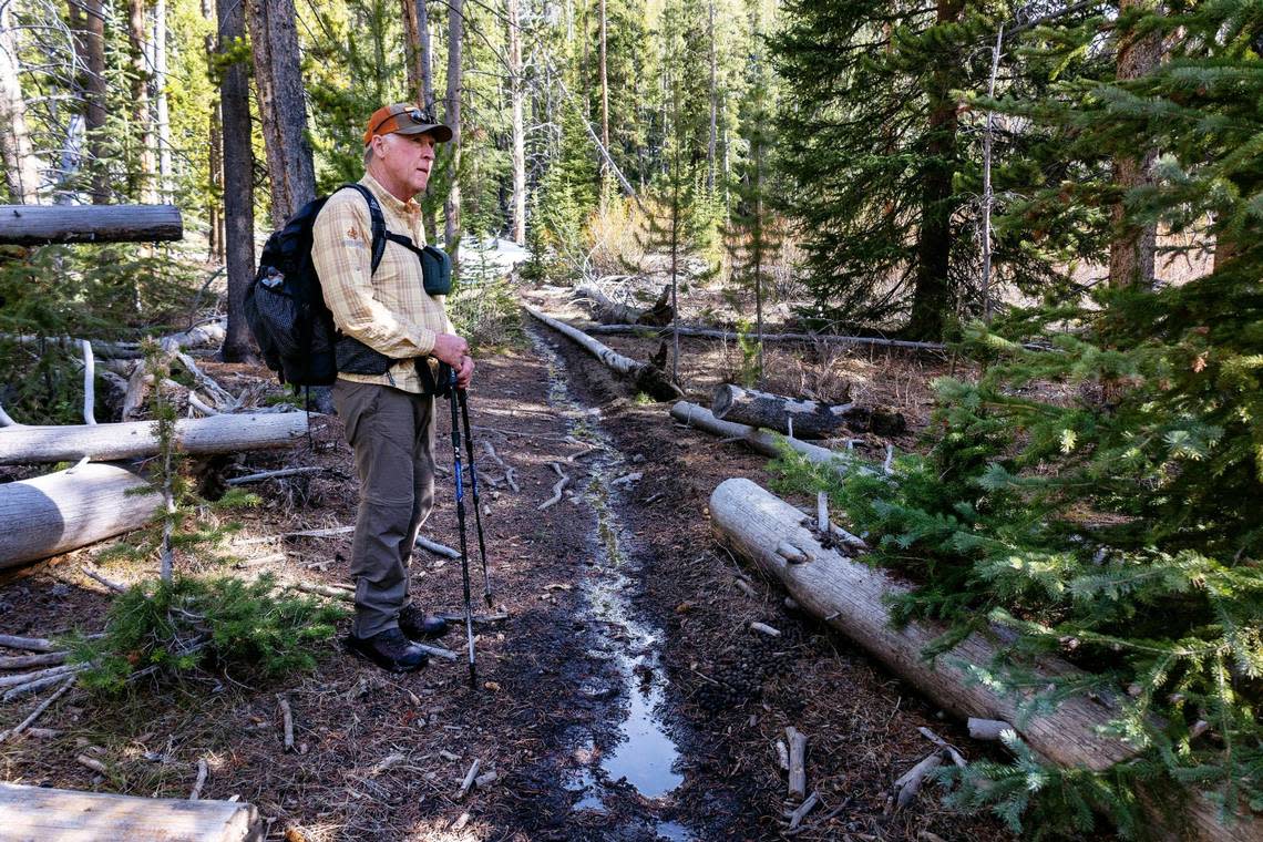 Ed Cannady, a retired U.S. Forest Service manager for the Sawtooth National Recreation Area, hikes Little Boulder Creek Trail 628 to Castle Peak in the White Cloud Mountains of the SNRA on May 25. Cannady is an advocate for wilderness areas.