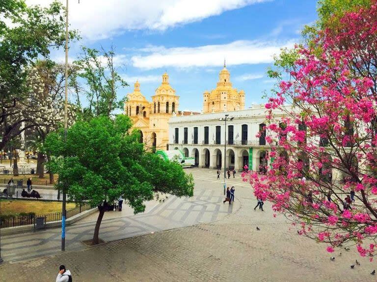 La ciudad de Córdoba, junto con Bell Ville, San Francisco y Villa María concentran la mayor cantidad de infectados de dengue en la provincia