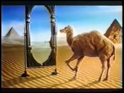 Genau genommen ist das Camel-Kamel eigentlich ein Dromedar, solche Feinheiten scheinen der Beliebtheit der Werbefigur aber keinen Abbruch getan zu haben. 1913 entwickelt, ist es noch immer untrennbar mit der Zigarettenmarke verbunden.