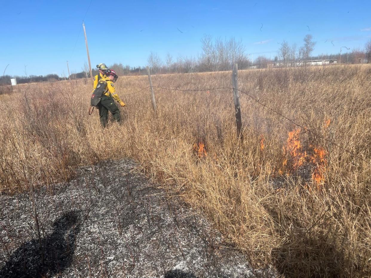 Alberta Wildfire does a prescribed burn in Beaver Lake Cree Nation in April 2024, to help mitigate the threat of wildfires.  (Submitted by Shane Bair - image credit)