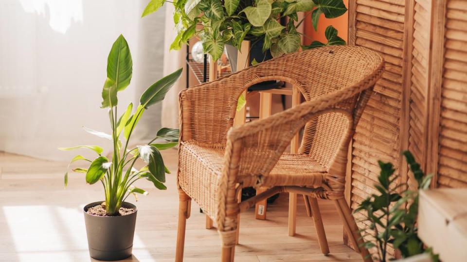 Wicker chair with pillow, plaid and table near light wall