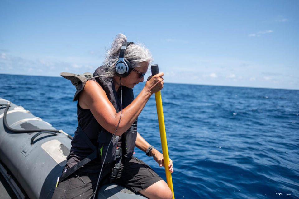 海洋科學家Kirsten Thompson在賽席爾附近的水域，使用水中聽音器探測並記錄抹香鯨的行動。