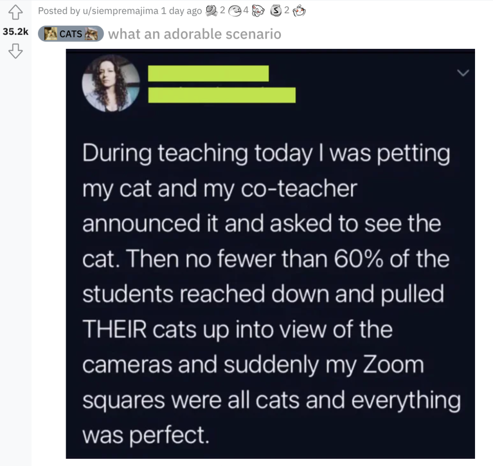 A post ending in, "then no fewer than 60% of the students reached down and pulled THEIR cats up into view of the cameras and suddenly my Zoom squares were all cats and everything was perfect."