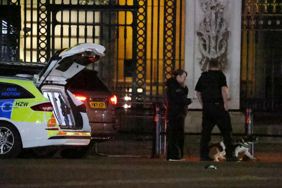 A police sniffer dog at the scene outside Buckingham Palace (Getty Images)