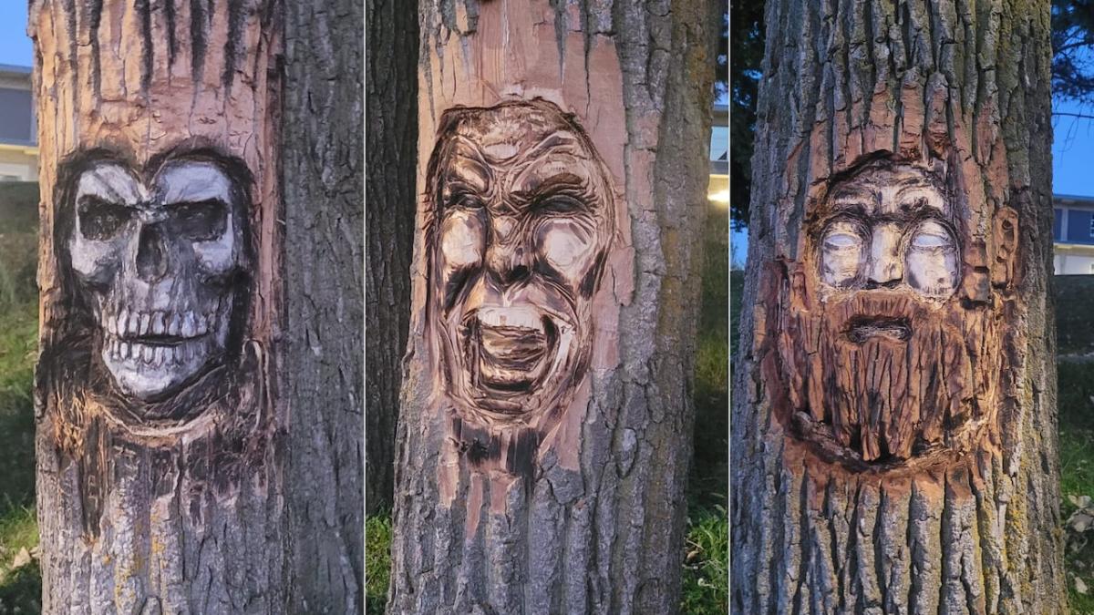 Sztuka czy wandalizm?  Rzeźby na drzewach w Welland w Ontario budzą kontrowersje, gdy policja prowadzi dochodzenie