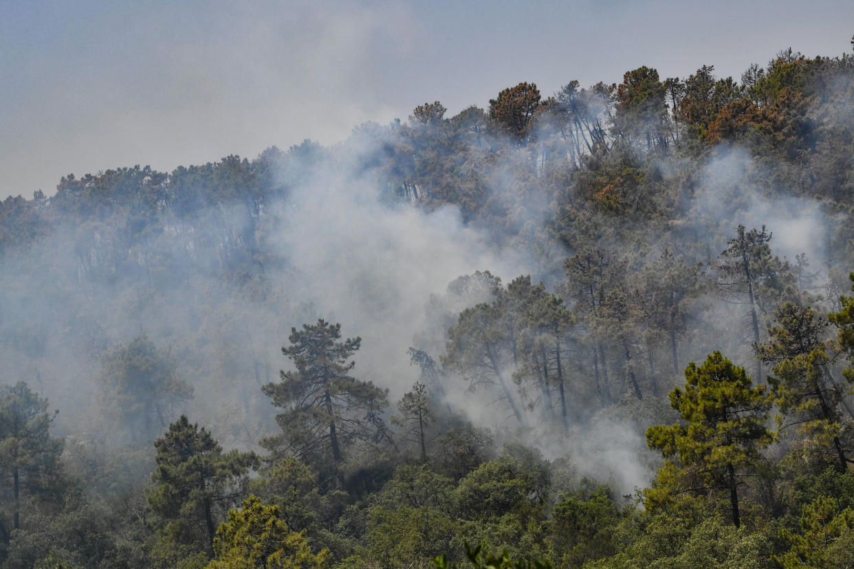 Photo d’illustration d’un incendie dans une forêt à Melloula près de Tabarka, à la frontière nord-ouest de la Tunisie avec l’Algérie, le 20 juillet 2023.