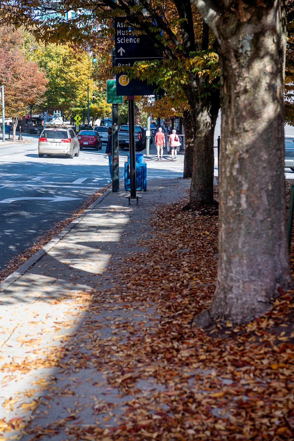 Trees shade Patton Avenue in downtown Asheville, October 26, 2023.