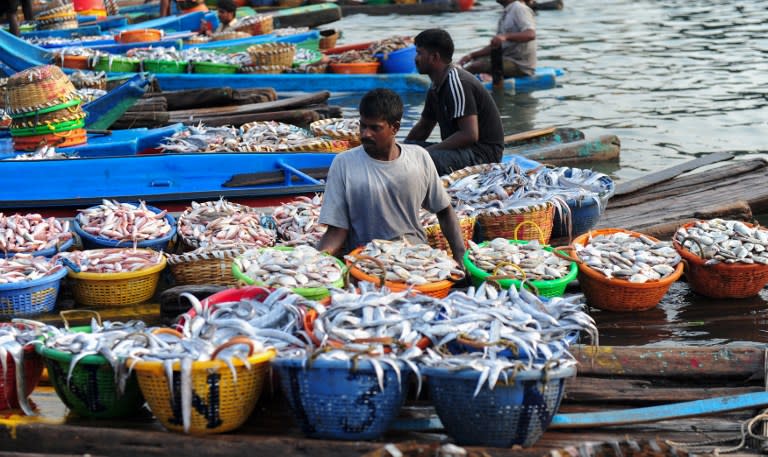 <p>Indian fishermen unload baskets of fish from boats at a harbour in Chennai on June 5, 2016, as fishermen return with their catch after a 45-day fishing ban on the east coast of India. Authorities in the southern Indian state of Tamil Nadu had imposed a 45-day ban on fishing by mechanised vessels to protect marine life, with only ‘country boats’ operating within five nautical miles off the coast. </p>