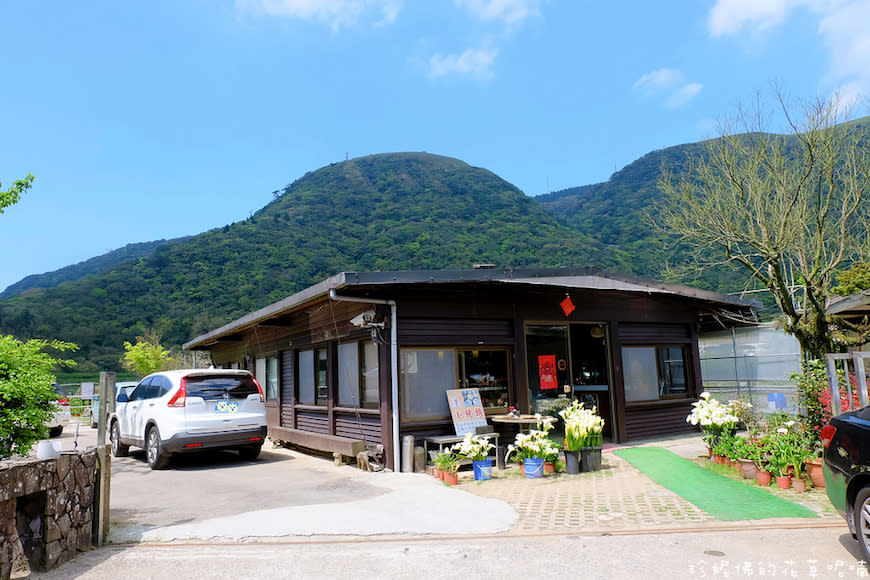 陽明山｜頂湖環狀步道、花谷海芋園