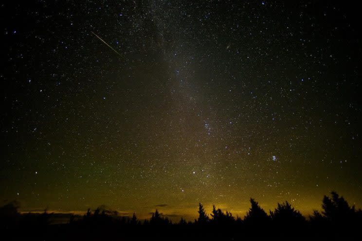 In this 30-second exposure, a meteor streaks across the sky during the annual Perseid meteor shower in Spruce Knob, W. Va. (Photo: Bill Ingalls/NASA via AP)