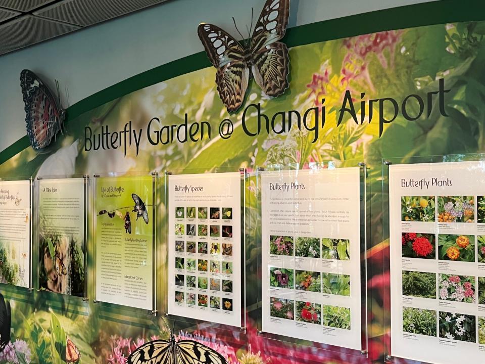 The butterfly garden at Changi's terminal 3.