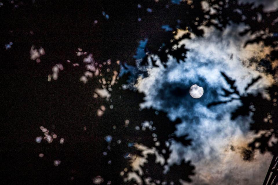 The partial eclipse, in Brussels (BELGA MAG/AFP via Getty Images)