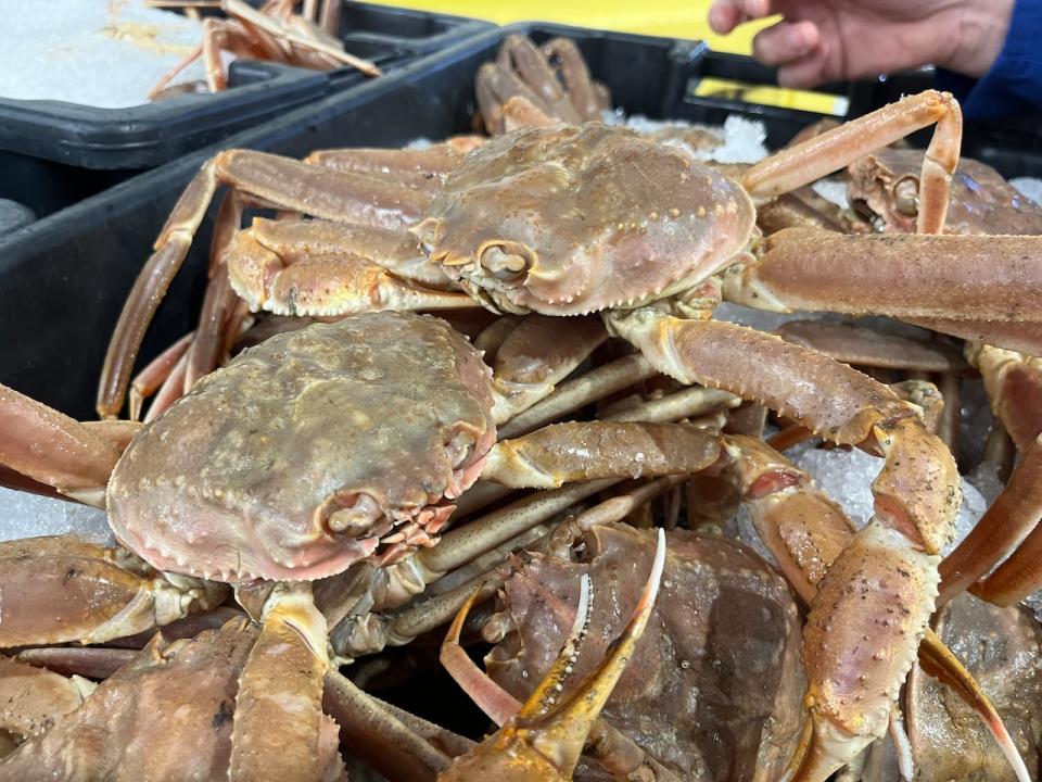 The 2023 snow crab harvest includes an overall quota of roughly 54,000 metric tonnes, which is slightly higher than past years.