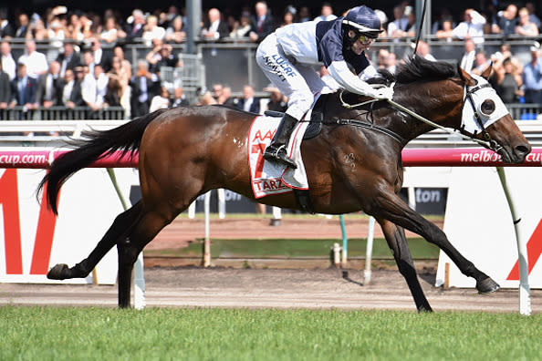 Tarzino looked the winner a long way out, and the AAMI Victoria Derby favourite charged to victory in the $1.5 million feature for trainer Mick Price and jockey Craig Newitt.