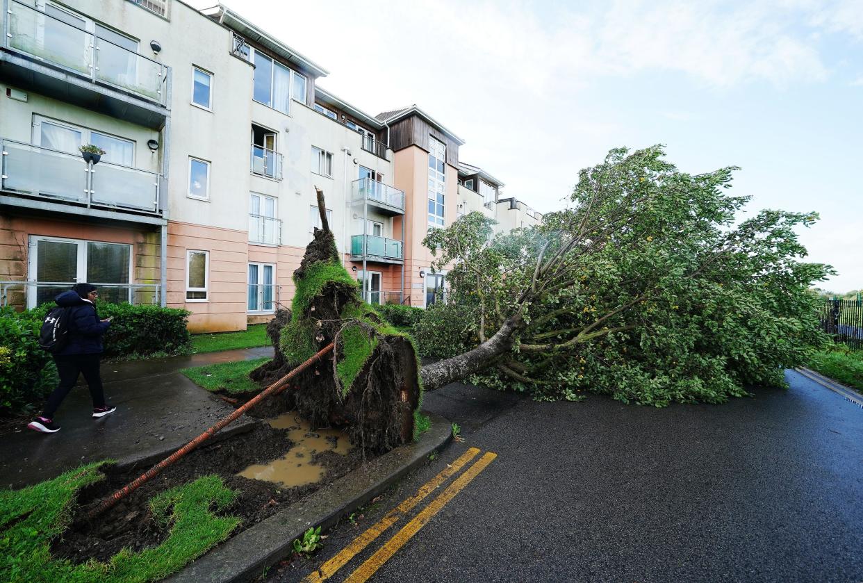 A fallen tree on Thornleigh Road in Swords, Dublin, as Storm Agnes continues (PA)