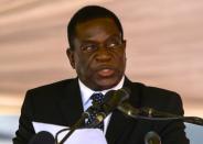 Emmerson Mnangagwa was sacked as vice president on November 6, with Robert Mugabe accusing him of disloyalty