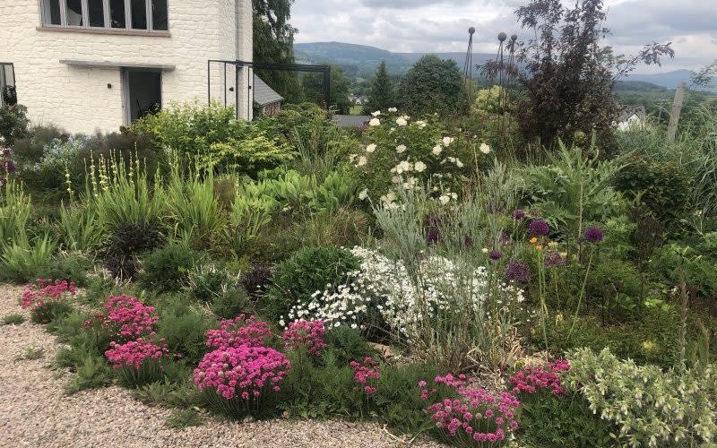 The gardens at Highfield Farm are living proof that Britain is blessed with talented amateur plants-men and women - National Garden Scheme