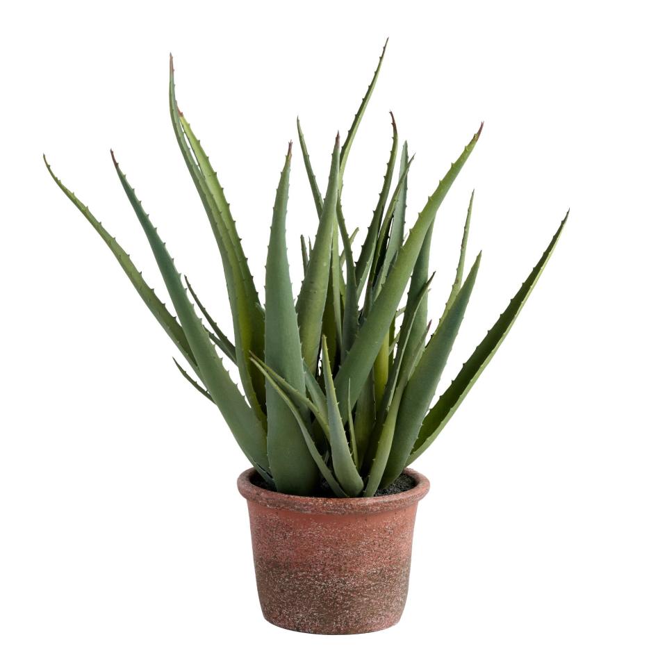 artificial plants that look real best selling faux aloe plant