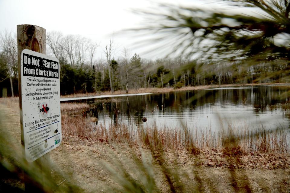 Signs from the Michigan Department of Community Health warn to not eat fish from Clark's Marsh in Oscoda on the grounds of the decommissioned Wurtsmith Air Force Base due to unsafe levels of PFCs in fish and the surface water. The water tested at least 5,000 ppt for total PFAS due to the contamination at the former base.