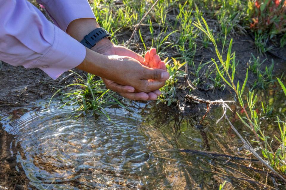Phoebe Suina dips her hands into the Rio Chiquito. Suina said water has to be treated as precious or “we lose what we take for granted.”
