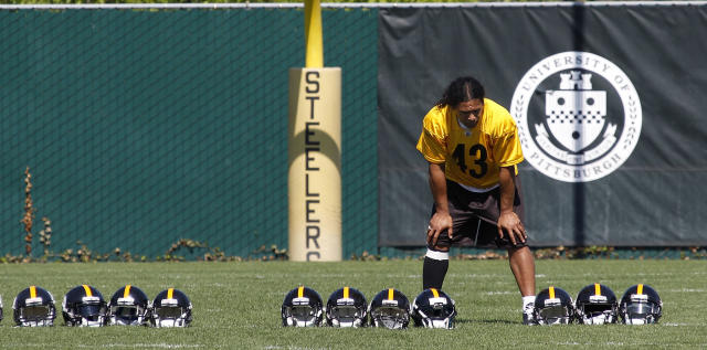 Steelers fan put on full pads, Troy Polamalu jersey and tried to practice  with the team