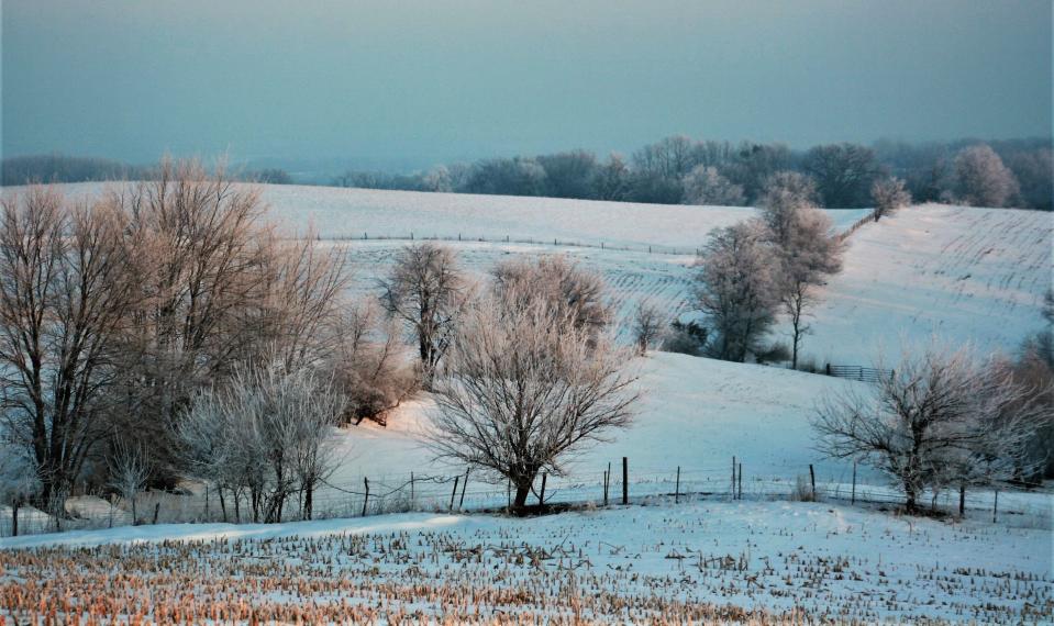 Iowa winter garden on full display.