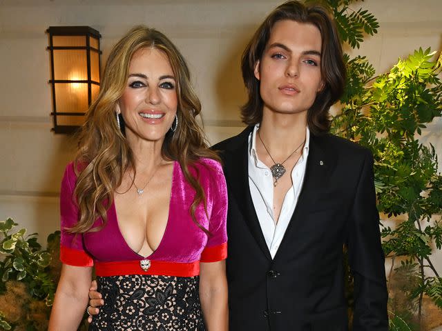 All About Elizabeth Hurley's Son Damian Hurley