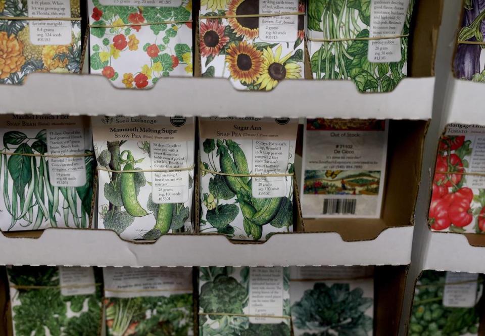 Seed packets on Wednesday, April 17, 2024, at a property owned David Howard is working on converting into a small grocery store that would provide fresh fruit and vegetables to the Stop Six neighborhood.