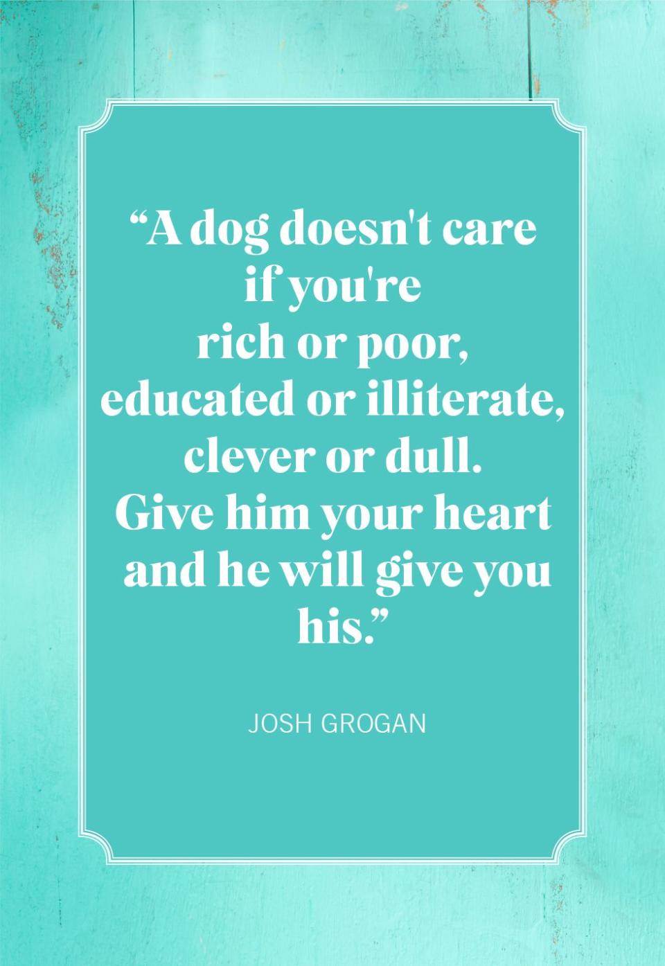 dog mom quotes josh grogan