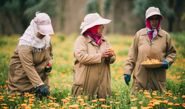 Women working in YSL Beauty's Ourika Community Gardens in Morocco.<p>Photo: Courtesy of YSL Beauty</p>