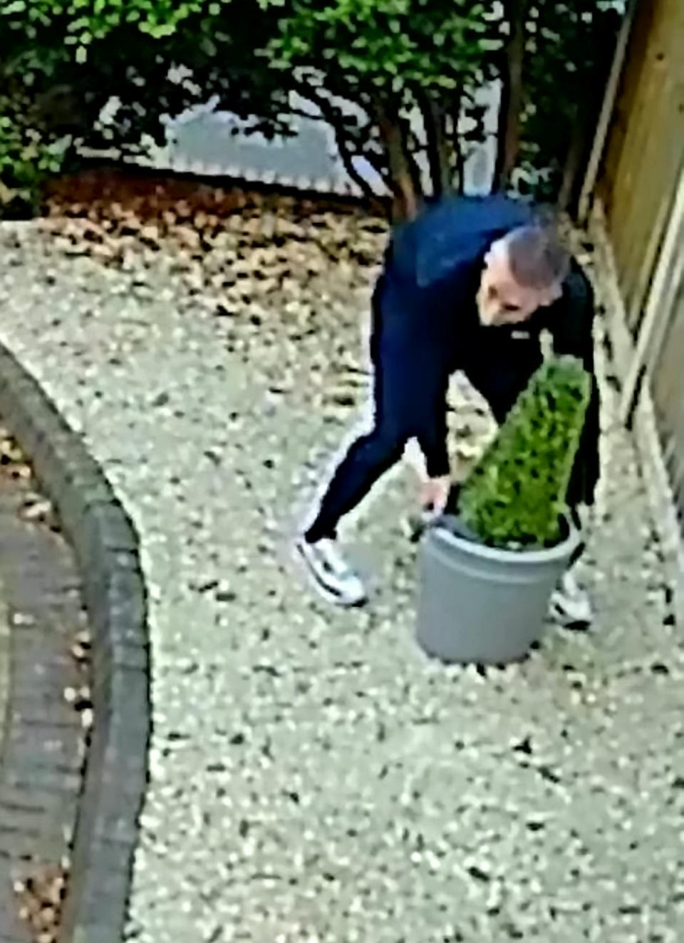 Thief caught on CCTV stealing plants in Birmingham