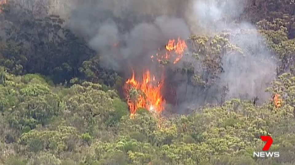 Firefighters are battling a huge bushfire in the Royal National Park, near Bundeena. Photo: 7 News