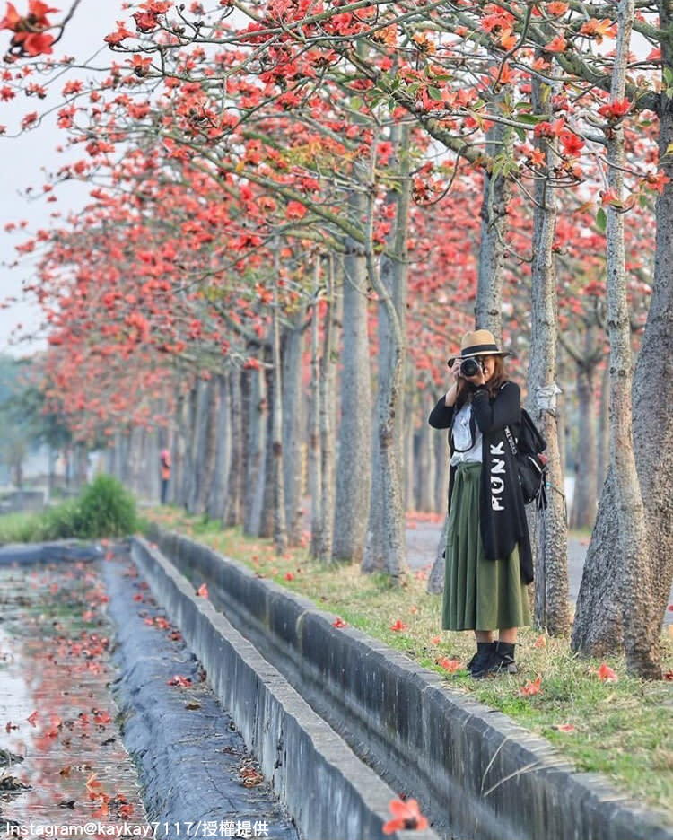 「台南白河林初埤木棉花道」的浪漫景緻，不管怎麼拍都好看。   圖：翻攝自instagram kaykay7117／開放權限