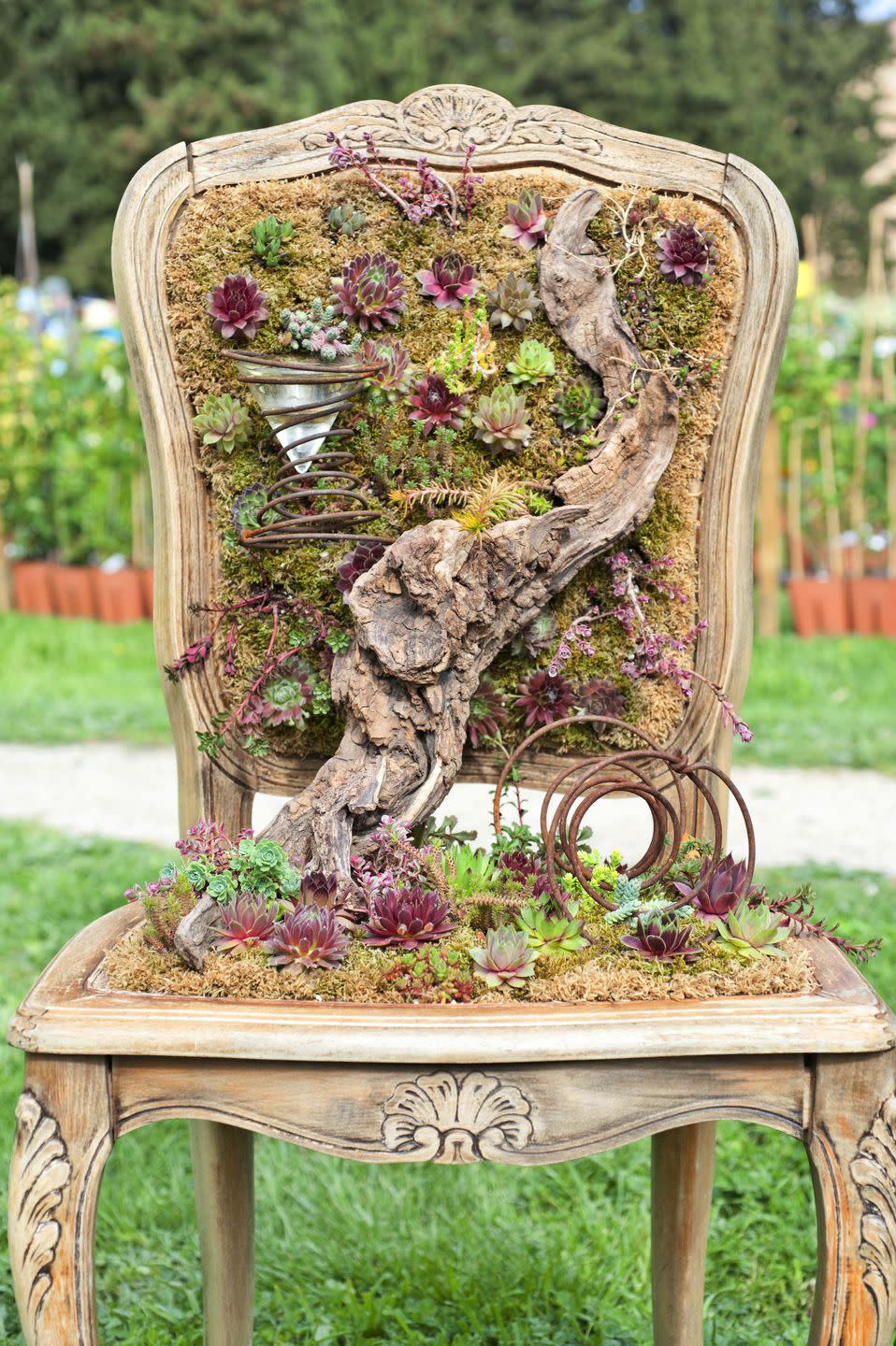 <p>A vintage chair becomes a living art display when adorned with tiny succulents and creative designs twisted out of scrap metal. </p>