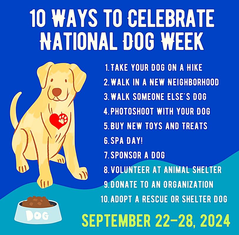 We offer you ten ways to celebrate National Dog Week this year from September 22 through 28, 2024.<p>Canva.com/Photoscape</p>