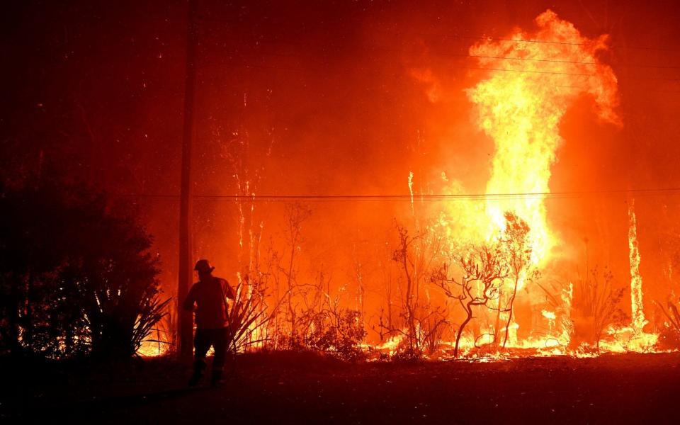 Emergency warnings were issued on Thursday for bushfires in New South Wales - REX