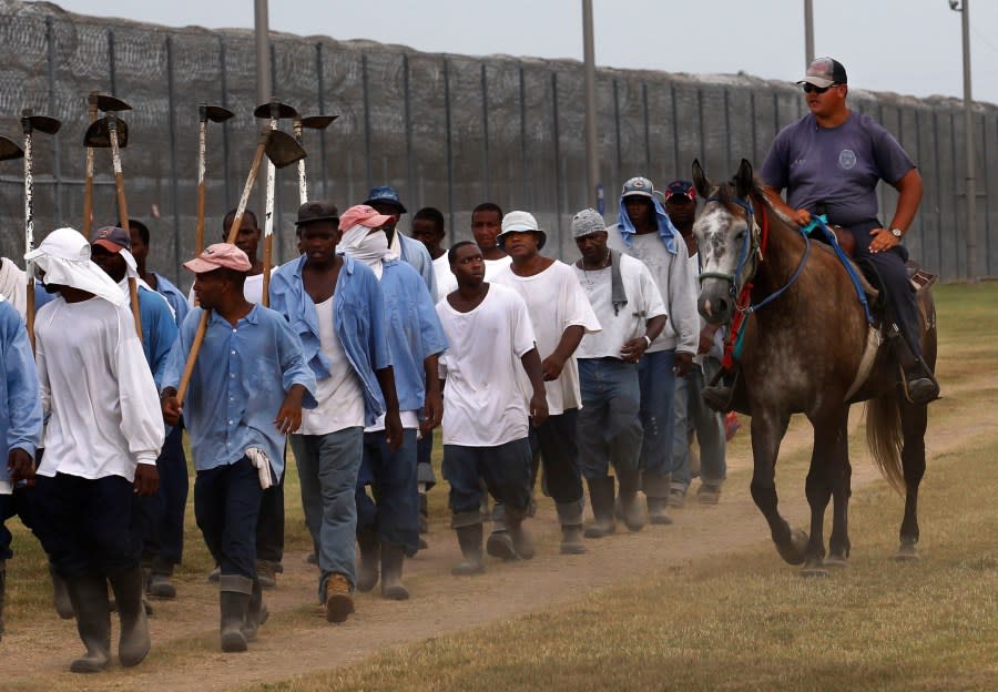 In this Aug. 18, 2011 photo, prison guards ride horses that were broken by inmates as they return from farm work detail at the Louisiana State Penitentiary in Angola, La. In September, several incarcerated workers along with the New Orleans-based advocacy group Voice of the Experienced filed a class-action lawsuit calling for an end to the farm line, and accusing the state of cruel and unusual punishment. But as temperatures soared in May, the men asked the court in an emergency filing to stop work during extreme heat. (AP Photo/Gerald Herbert)