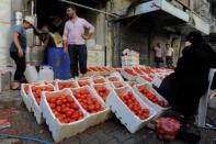 A street vendor sells tomatoes in al-Kalasa district of Aleppo July 10, 2017. REUTERS/ Omar Sanadiki