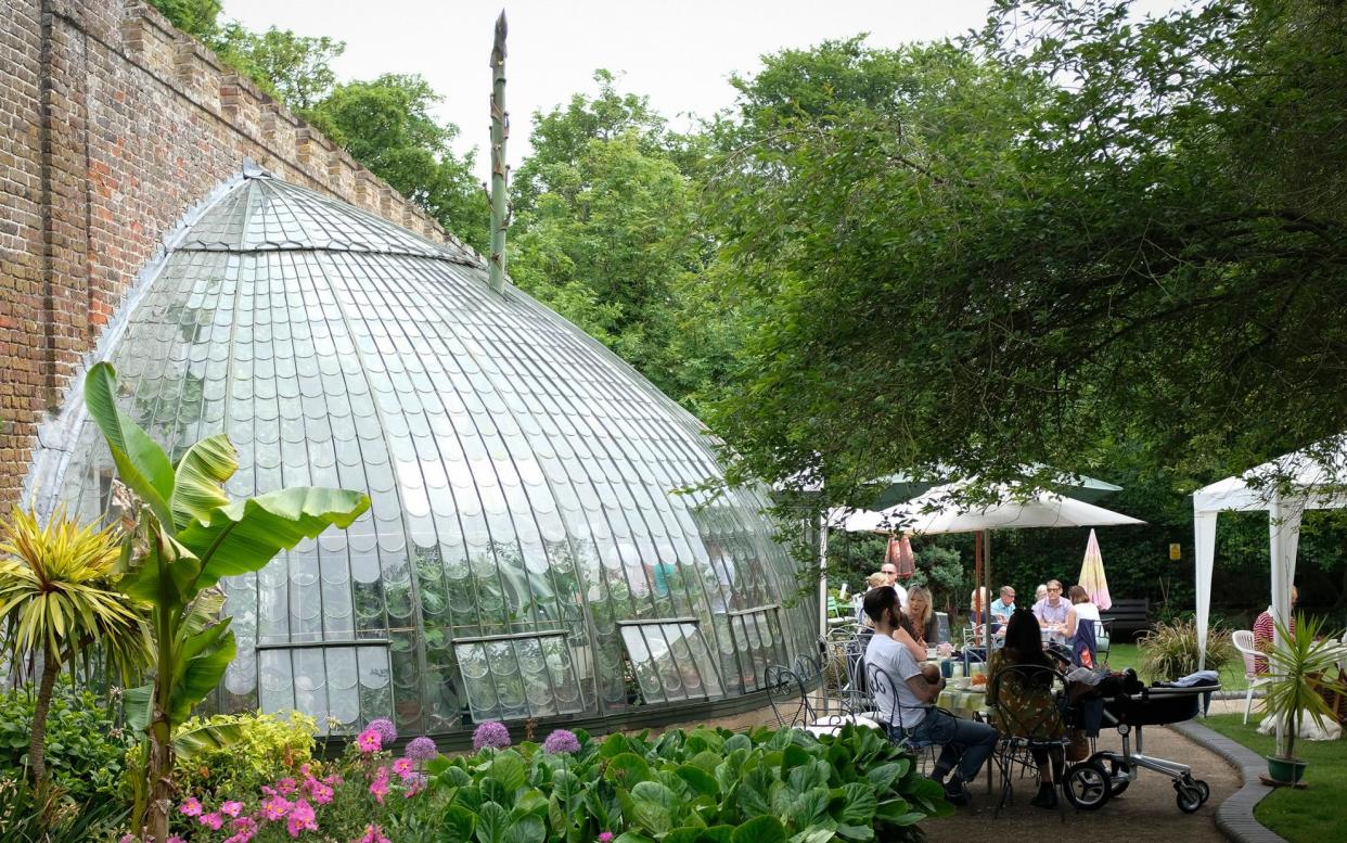 A giant agave barged through the greenhouse - Christopher Pledger