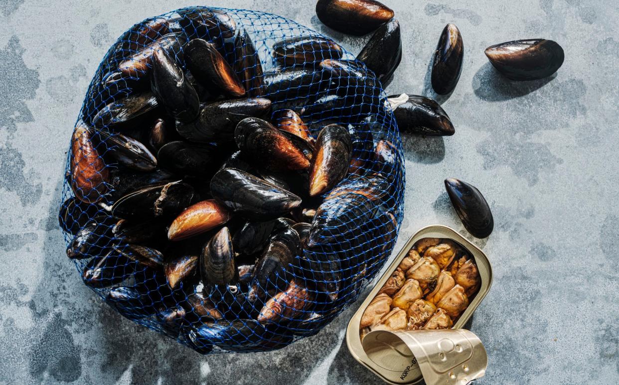 Mussels are environmentally friendly – the farms are thought to enhance the habitat for other sea life - Liz & Max Haarala Hamilton