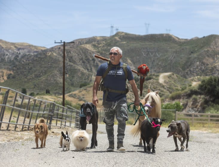 SANTA CLARITA, CA-JUNE 8, 2020: Dog trainer Cesar Millan goes for a walk on his ranch in Santa Clarita with a variety of dogs, a miniature horse, a goat and a macaw. All the animals and bird belong to Milan except for the great dane, that was visiting. (Mel Melcon/Los Angeles Times)