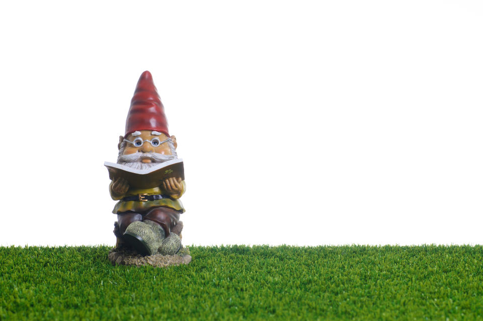 Garden Gnome reading book