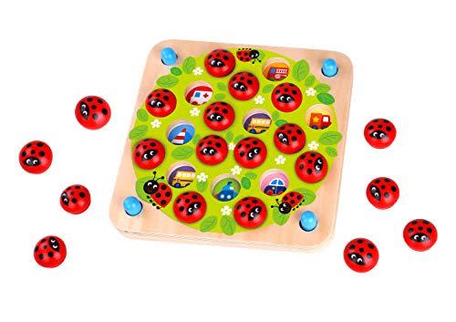 1)  Ladybug's Garden Memory Game