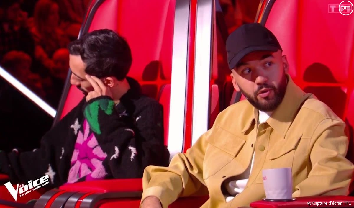 "The Voice" lance les "Super-Block" - Capture d'écran TF1