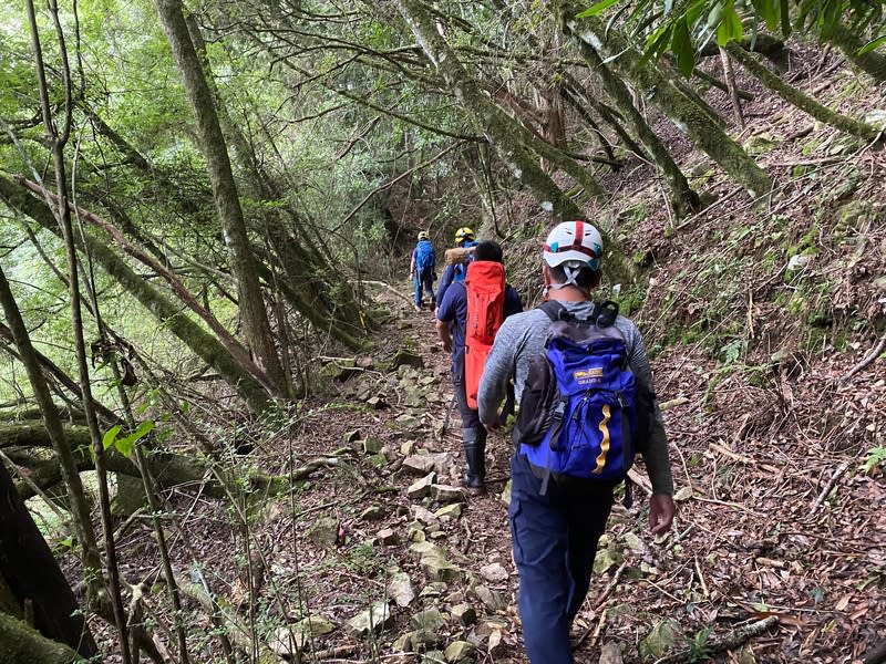 嘉義縣消防局23日中午獲報65歲婦女在阿里山鄉北霞山林道失足跌落50米邊坡，頭部受傷，立即派人前往救援。圖為救援人員抵達新高口登山口後，徒步前往現場救援。（圖／嘉義縣消防局提供）