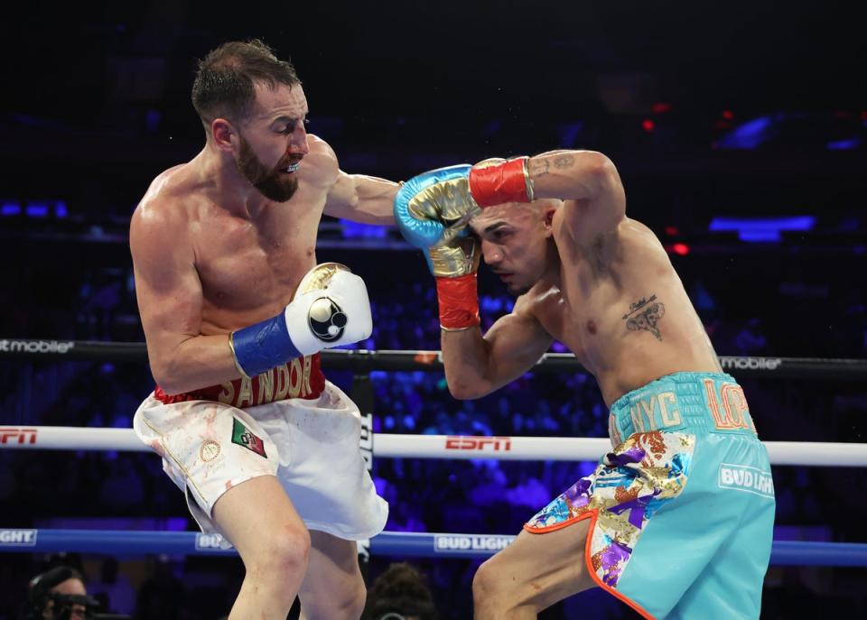 Teofimo Lopez (right) struggled against Sandor Martin in his most recent fight (Getty Images)