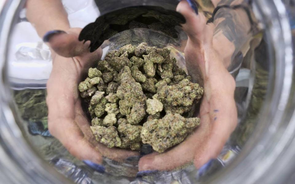 In this file photo a bud tender displays a jar of cannabis at the High Times 420 SoCal Cannabis Cup in San Bernardino, Calif.