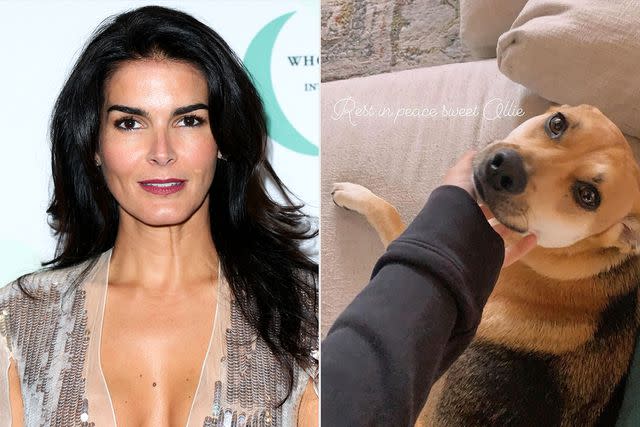 <p>Paul Archuleta/WireImage; Angie Harmon/Instagram</p> Angie Harmon pictured alongside her dog Oliver
