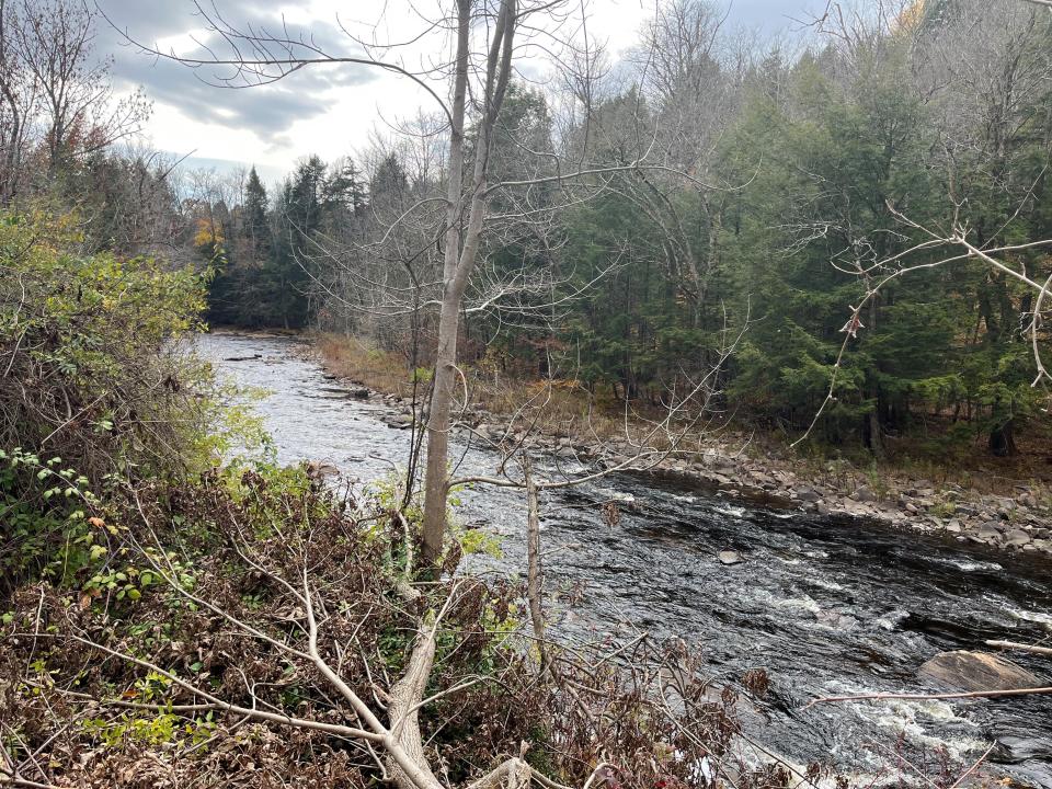 Erosion along the banks of the East Canada Creek have caused recurrent flooding in the Village of Dolgeville.