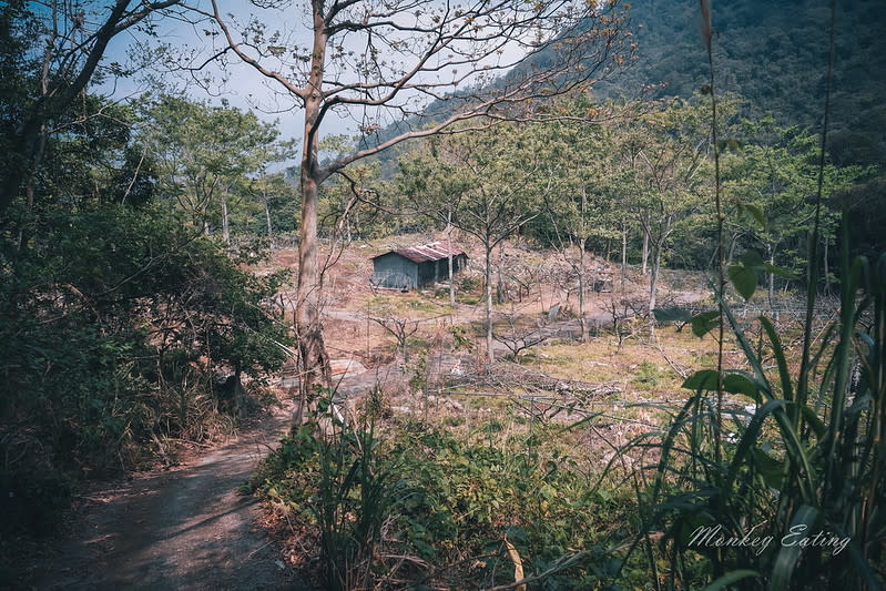 台中｜谷關七雄 白毛山步道